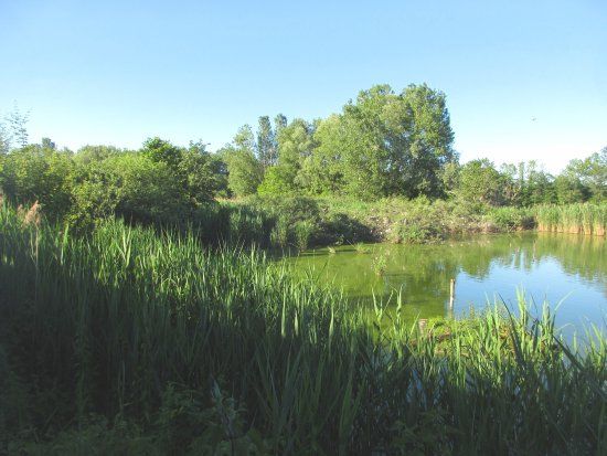 Oasi degli Stagni di Casale